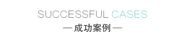 成功案例
